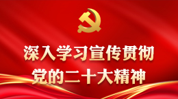 深入学习宣传贯彻党的二十大精神